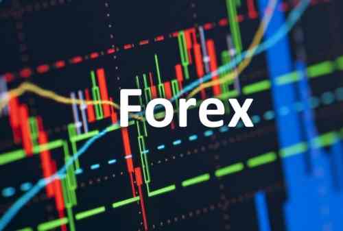 Mengenal Lebih Jauh Istilah Trading Forex
