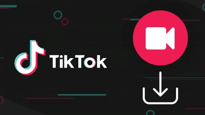 Perbedaan Antara TikTok No Watermark Mod Apk Dengan TikTok Original