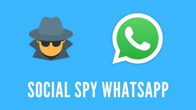 Review Social Spy WhatsApp Terbaru