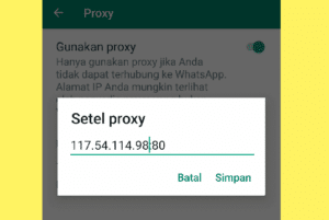 Daftar Lengkap Alamat Proxy WhatsApp Seluruh Daerah Indonesia