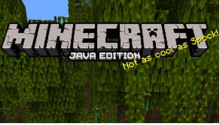 Fitur Minecraft Java Edition