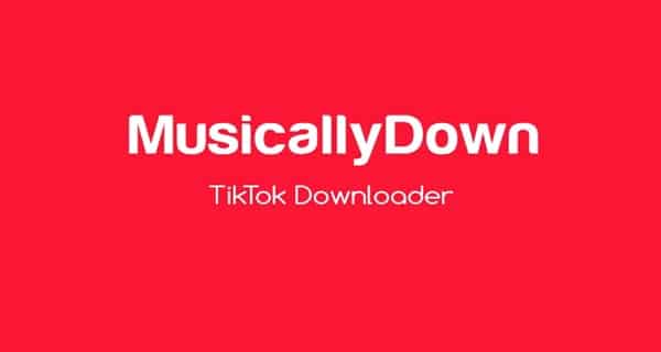 Kekurangan Pada Situs MusicallyDown