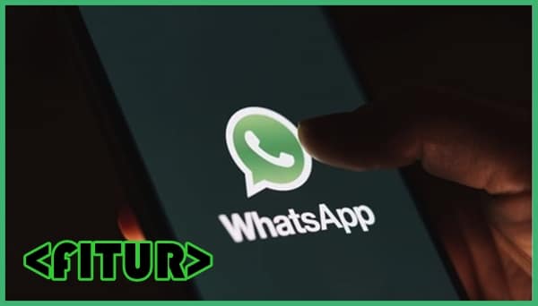 Keunggulan & Fitur Canggih Provid WhatApp Profile Video Apk