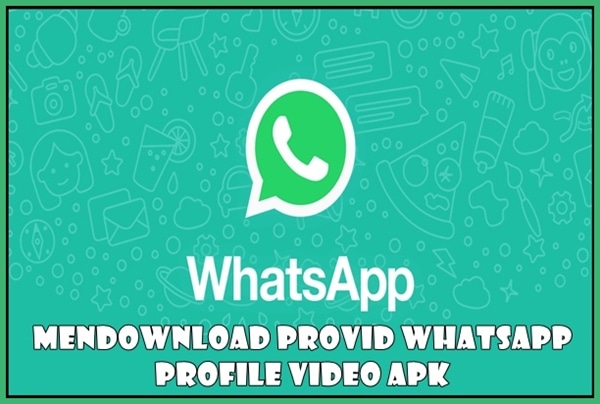 Link Download Provid WhatsApp Profile Video Apk (Gratis) Terbaru 2023