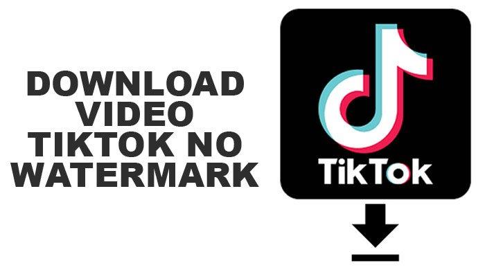 Link Download TikTok Downloader