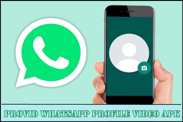 Mengenal Provid WhatsApp Profile Video Apk
