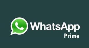 Pengenalan Whatsapp Prime