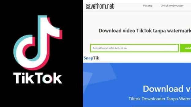 Perbedaan TikTok Downloader Dengan Aplikasi Saingannya