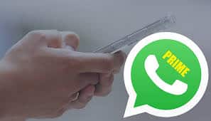 Perbedaan Whatsapp Prime Dengan Biasa