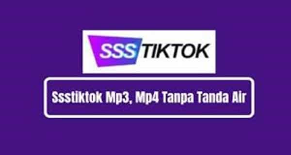 Proses Pemasangan SSSTikTok di Perangkat Android dan iOS