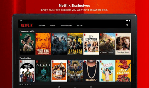 Review Tentang Netflix Mod Apk Sub Indo