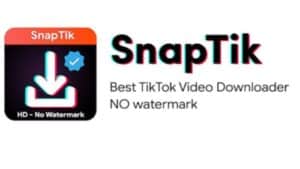 Snaptik TikTok Unduh MP4 dan MP3 Bebas Watermark