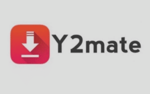 Y2mate Tiktok MP3 Lagu dan MP4 Video Tanpa Watermark