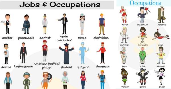 Contoh-Occupation-dalam-Bahasa-Inggris-dan-Penggunaannya