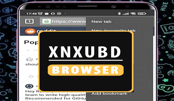 Download XNXubd VPN Browser Apk