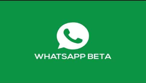 WhatsApp Beta Apk