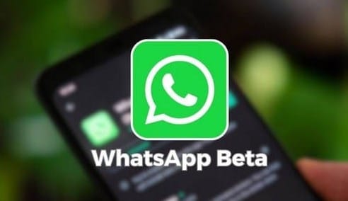 WhatsApp Beta Apk