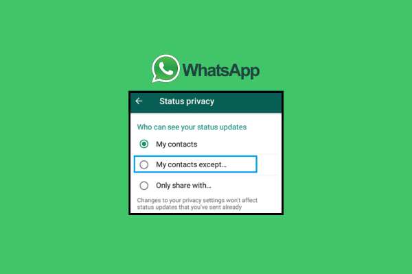Alasan-Seseorang-Memutuskan-untuk-Hide-Status-WhatsApp